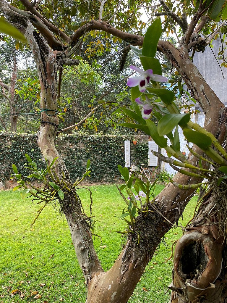 Casa Recanto da Armação - SDI001
