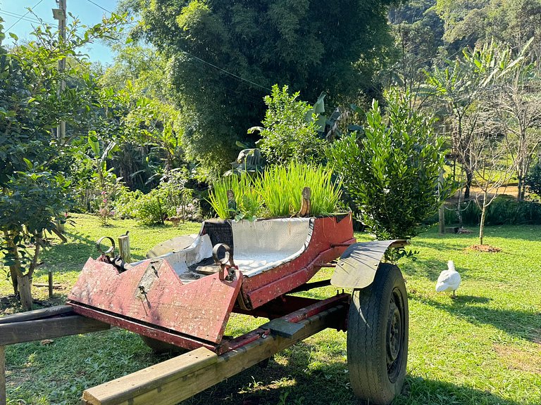 Chácara Bicho Velho em Águas Mornas - SRR001