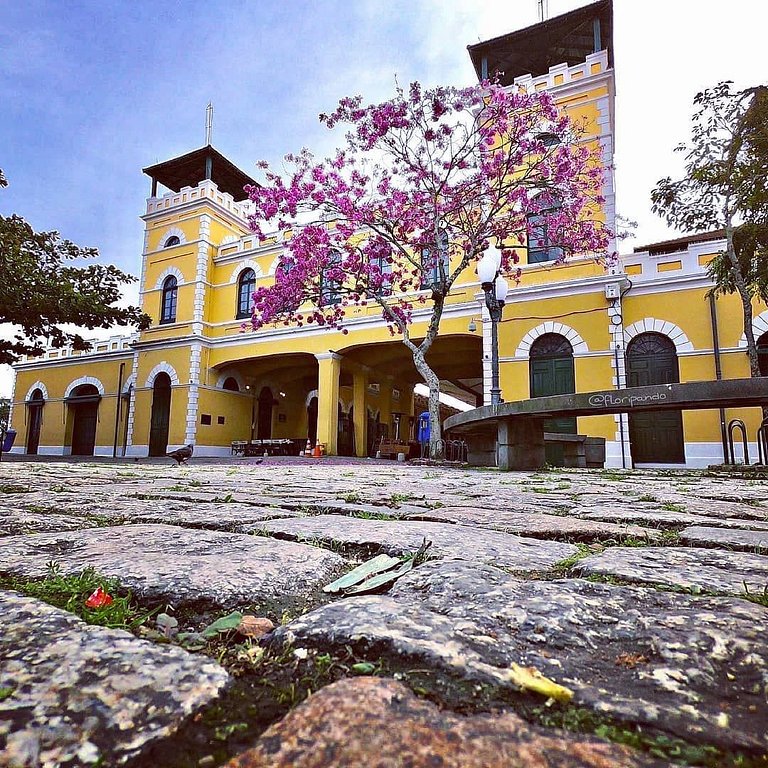 Villes de France - Centro de Floripa - CEN003