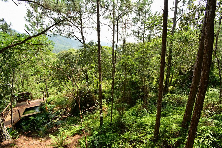 Chalé Terraviva - Luxo em meio a natureza - PLH008