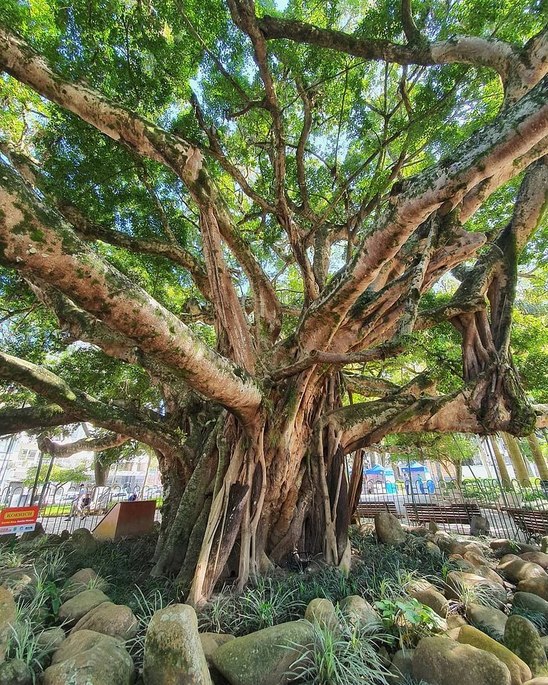 Apartamento Bem Localizado na Trindade - CEN008